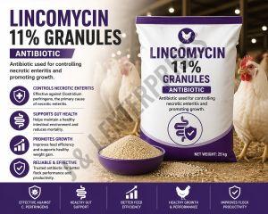 Lincomycin 11% Poultry Feed Antibiotic Supplement