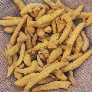 Dried Raw Turmeric Finger