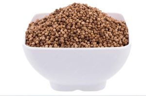 Dried Coriander Seeds
