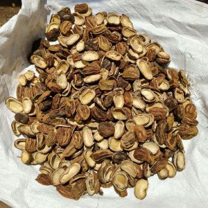 Dried Mango Slices