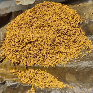 Polished Turmeric Finger