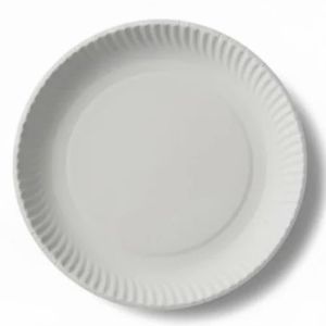 Biodegradable Paper Plate