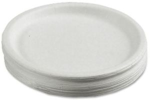 Plain White Paper Plate