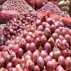 Fresh Pink Onion