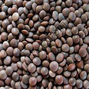 Black Masoor Dal