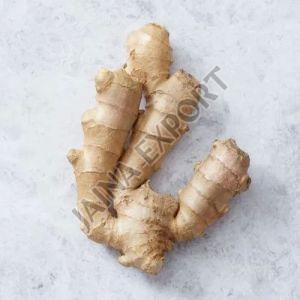 Fresh Brown Ginger