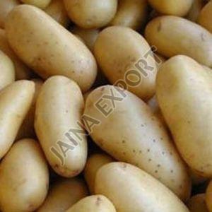 Fresh Chipsona Potato