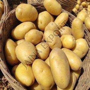 Fresh Deesa Potato