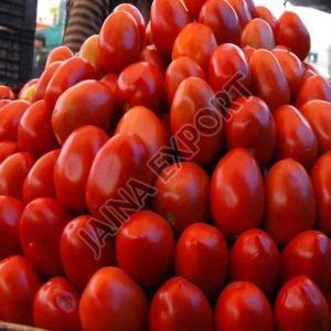 Fresh Hybrid Tomato