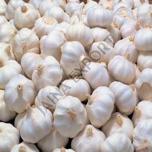 Fresh Natural Garlic