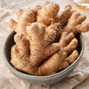 Fresh Organic Ginger