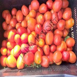 Fresh Raw Tomato