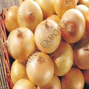 Fresh Yellow Onion