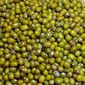Green Moong Dal