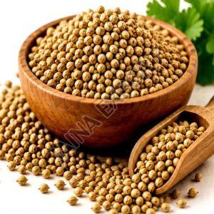 Organic Coriander Seeds
