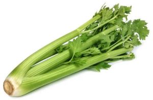 A Grade Green Fresh Celery