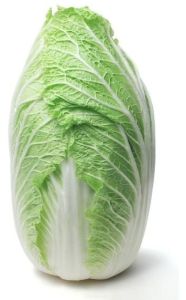 Fresh Chinese Cabbage