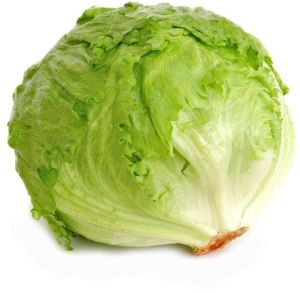 Fresh Iceberg Lettuce