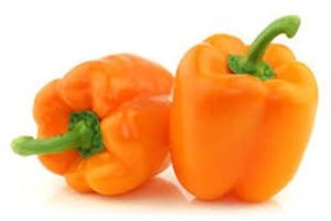 Fresh Orange Bell Pepper