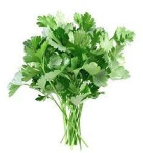Fresh Parsley Leaves