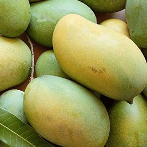 Fresh Rasalu Mango