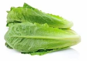 Fresh Romaine Lettuce