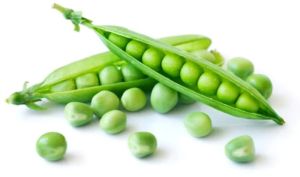 Fresh Sugar Snap Peas