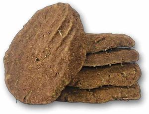 Cow Dung Cakes for Agnihotra