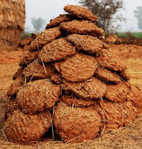 Dried Cow Dung Fuel Cake