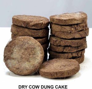 Dry Cow Dung Cake