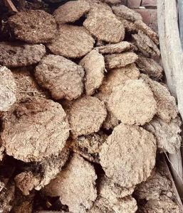 Eco-Friendly Cow Dung Cake