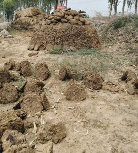 Handmade Cow Dung Cake