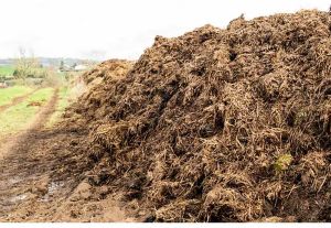 High Nutrient Organic Cow Compost