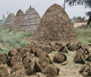 Natural Cow Dung Upla Cake