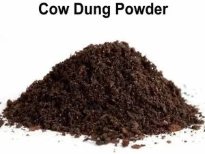 Organic Cow Dung Manure