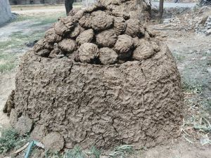 Pure Desi Cow Dung Cake