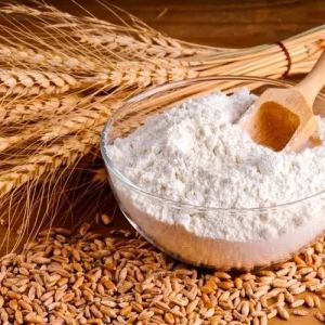 Premium Whole Wheat Flour