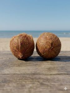 Semi Husk Coconut