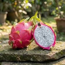 Natural Fresh Dragon Fruit