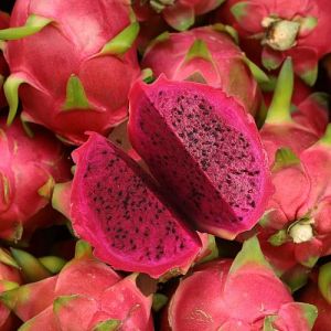 Organic Fresh Dragon Fruit