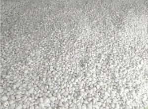 Natural Pebble Stone