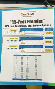 Guaranteed Income Plan Service