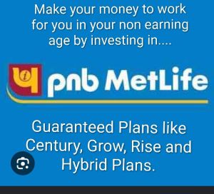 Pnb Metlife Life Insurance Service