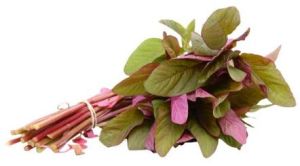 Fresh Amaranth Leaves Fresh Amaranth Leaves