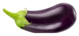Fresh Aubergine