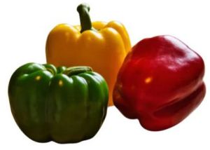 Fresh Pepper