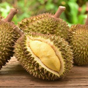 Fresh Durian Fruit