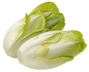 Fresh Endive