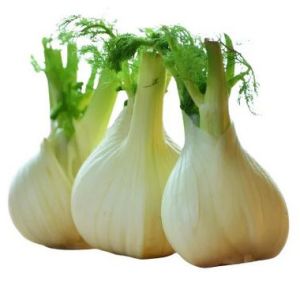 Fresh Fennel