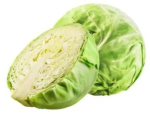 Fresh Green Cabbage